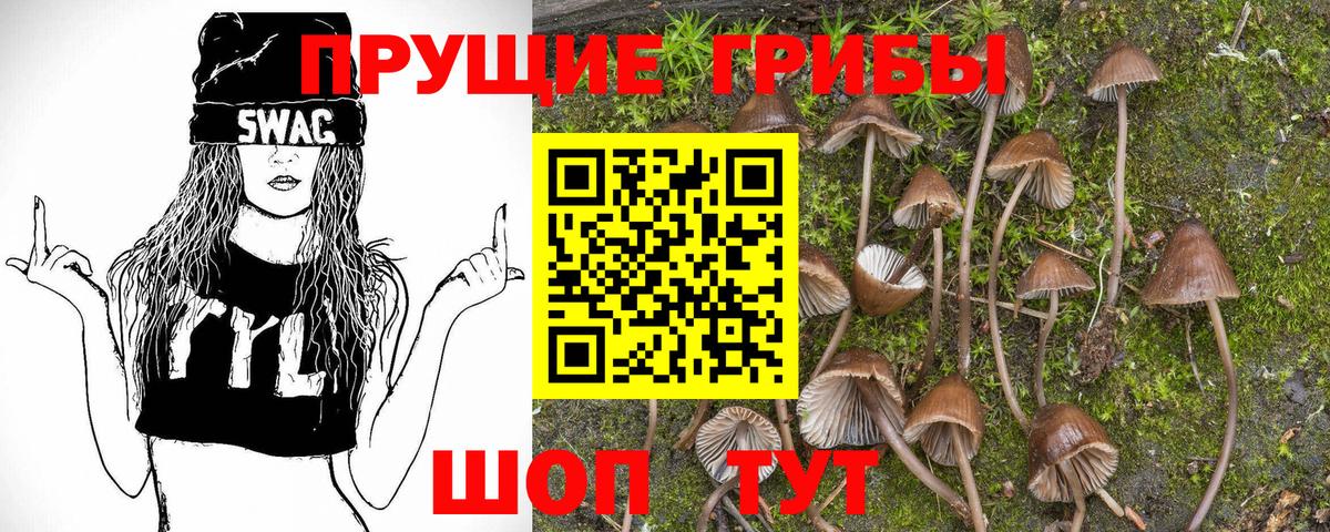 Галлюциногенные грибы Psilocybine cubensis Елец